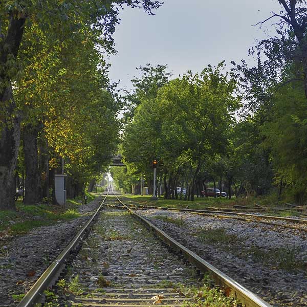 17 Novembre 2022 - TV Plus Madagascar